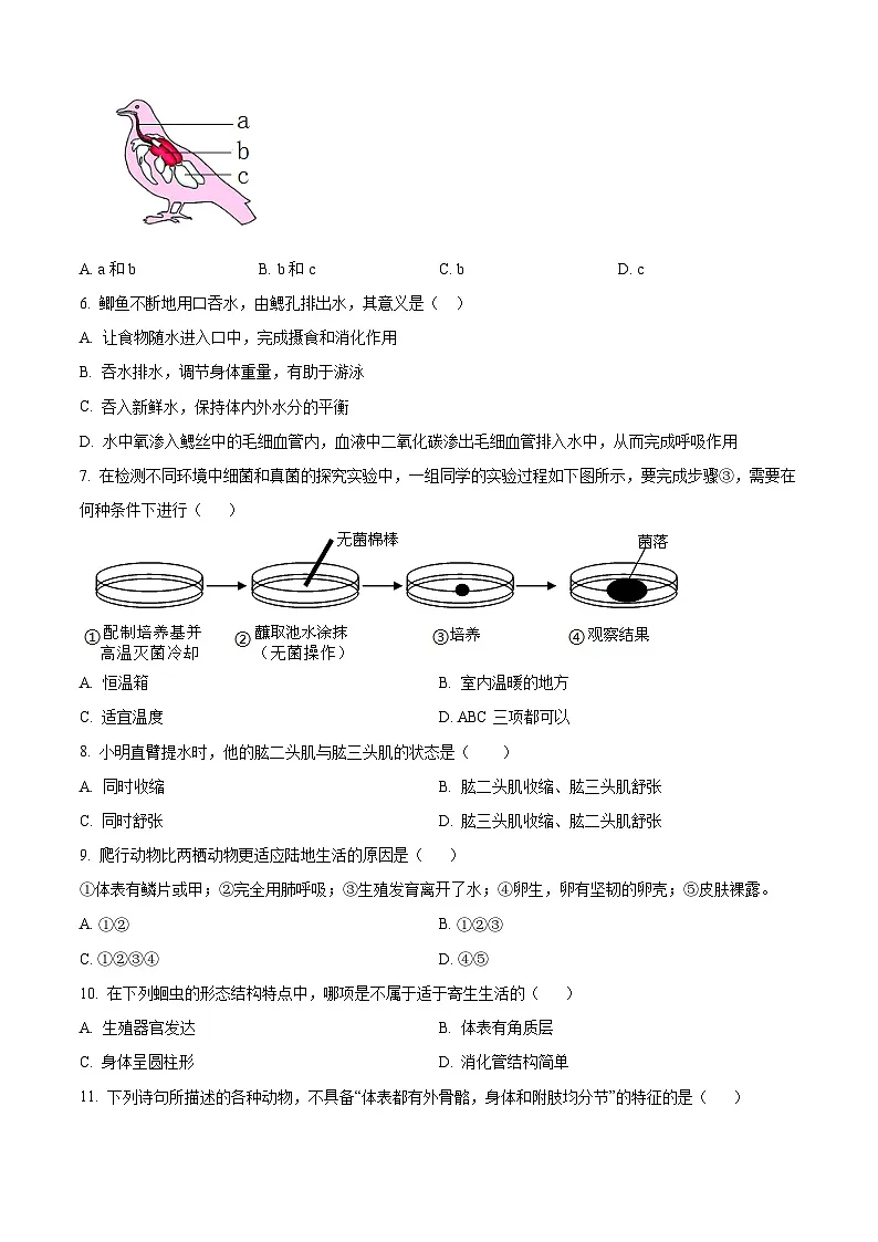 四川省泸州市龙马潭区2024-2025学年八年级上学期期末生物试题（原卷版+解析版）第2页