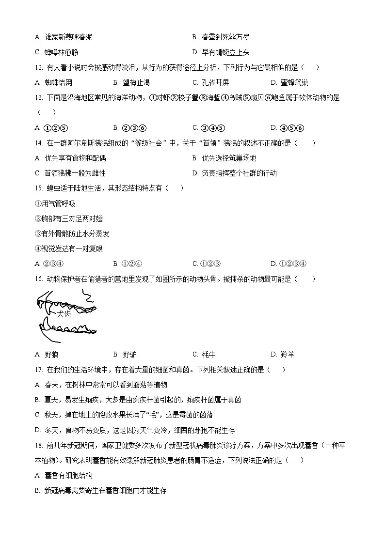 四川省泸州市龙马潭区2024-2025学年八年级上学期期末生物试题（原卷版+解析版）第3页