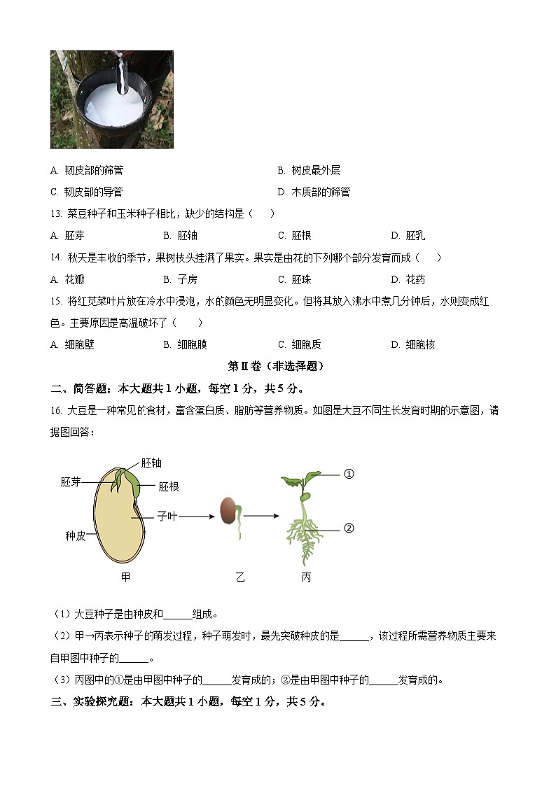 安徽省阜阳市颍州区2024-2025学年七年级上学期期末生物试题（原卷版+解析版）第3页