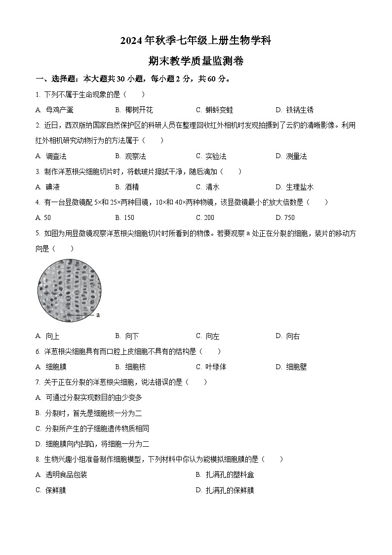 广东省湛江市徐闻县2024-2025学年七年级上学期期末生物试题（原卷版+解析版）第1页