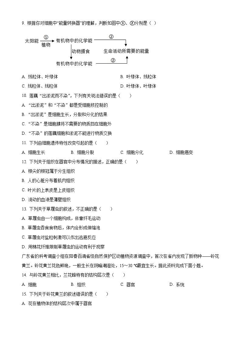 广东省湛江市徐闻县2024-2025学年七年级上学期期末生物试题（原卷版+解析版）第2页
