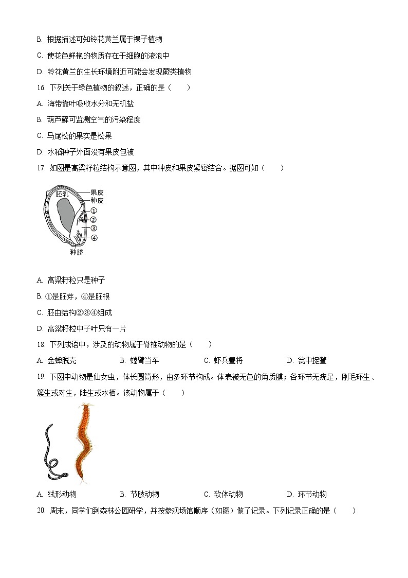 广东省湛江市徐闻县2024-2025学年七年级上学期期末生物试题（原卷版+解析版）第3页