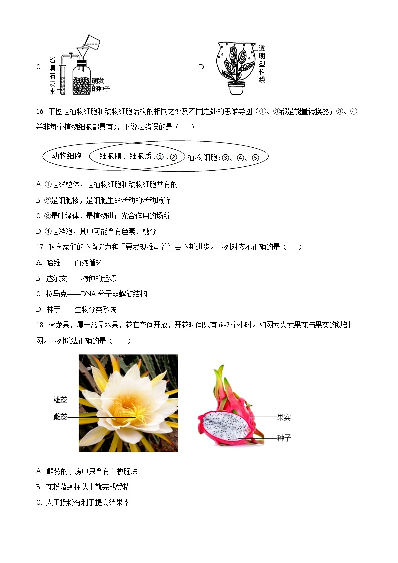 福建省泉州市安溪县2024-2025学年七年级上学期期末生物试题（原卷版+解析版）第3页