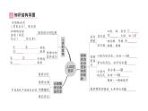 初中生物新北師大版七年級(jí)下冊(cè)第4單元第6章 總結(jié)訓(xùn)練作業(yè)課件2025春