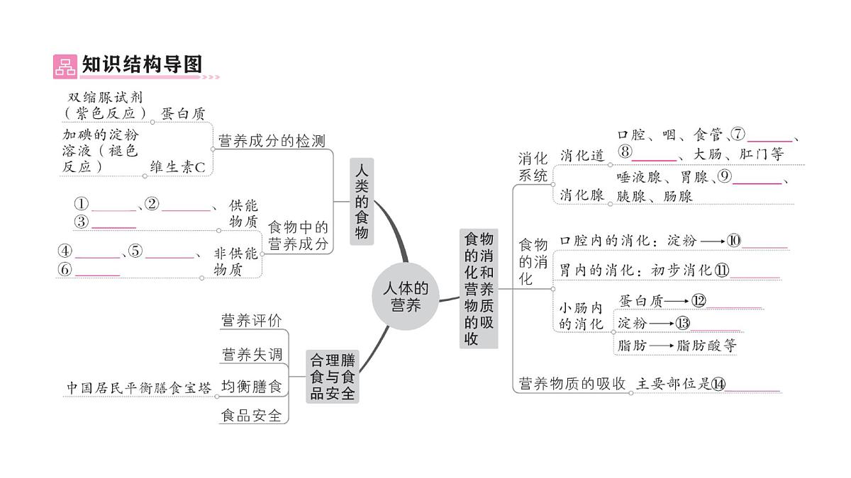 初中生物新北师大版七年级下册第4单元第6章 总结训练作业课件2025春第2页