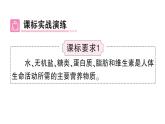 初中生物新北師大版七年級(jí)下冊(cè)第4單元第6章 總結(jié)訓(xùn)練作業(yè)課件2025春