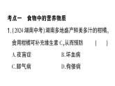 初中生物新北師大版七年級(jí)下冊(cè)第4單元第6章 總結(jié)訓(xùn)練作業(yè)課件2025春