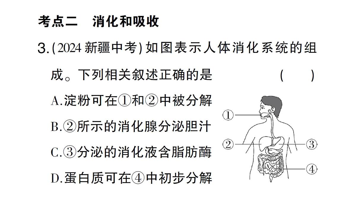 初中生物新北师大版七年级下册第4单元第6章 总结训练作业课件2025春第7页