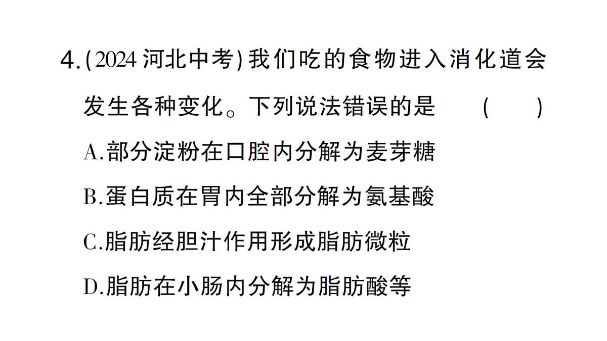 初中生物新北师大版七年级下册第4单元第6章 总结训练作业课件2025春第8页