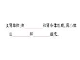 初中生物新北師大版七年級下冊第4單元第9章第2節(jié)第1課時(shí) 泌尿系統(tǒng)的組成作業(yè)課件2025春