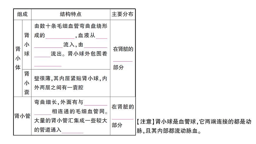 初中生物新北师大版七年级下册第4单元第9章第2节第1课时 泌尿系统的组成作业课件2025春第6页