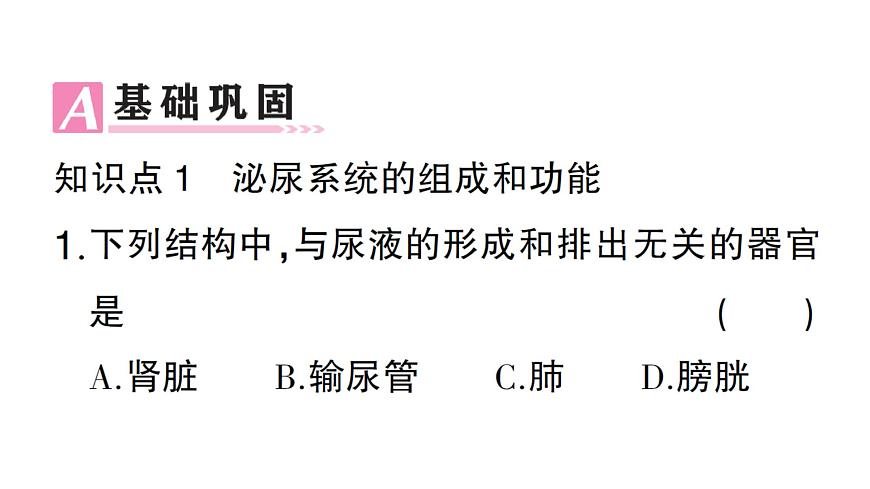 初中生物新北师大版七年级下册第4单元第9章第2节第1课时 泌尿系统的组成作业课件2025春第7页