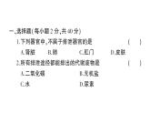 初中生物新北师大版七年级下册第9章 综合训练作业课件2025春