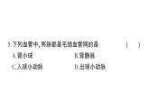 初中生物新北师大版七年级下册第9章 综合训练作业课件2025春