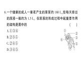 初中生物新北师大版七年级下册第9章 综合训练作业课件2025春