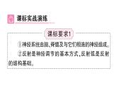初中生物新北師大版七年級(jí)下冊(cè)第4單元第10章 總結(jié)訓(xùn)練作業(yè)課件2025春