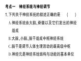 初中生物新北師大版七年級(jí)下冊(cè)第4單元第10章 總結(jié)訓(xùn)練作業(yè)課件2025春