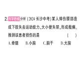初中生物新北師大版七年級(jí)下冊(cè)第4單元第10章 總結(jié)訓(xùn)練作業(yè)課件2025春