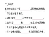 初中生物新北師大版七年級下冊第4單元第10章第1節(jié)第1課時 神經系統(tǒng)的組成及反射作業(yè)課件2025春