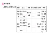 初中生物新北師大版七年級下冊第4單元第10章第1節(jié)第2課時 反射的類型作業(yè)課件2025春