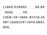初中生物新北師大版七年級下冊第4單元第10章第1節(jié)第2課時 反射的類型作業(yè)課件2025春