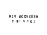 初中生物新北師大版七年級下冊第4單元第10章第2節(jié)第1課時 眼與視覺作業(yè)課件2025春