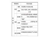 初中生物新北師大版七年級下冊第4單元第10章第2節(jié)第1課時 眼與視覺作業(yè)課件2025春