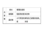 初中生物新北師大版七年級下冊第4單元第10章第2節(jié)第1課時 眼與視覺作業(yè)課件2025春