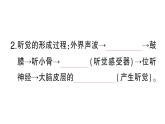 初中生物新北師大版七年級下冊第4單元第10章第2節(jié)第2課時 耳與聽覺及其他感覺作業(yè)課件2025春