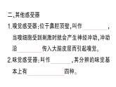 初中生物新北師大版七年級下冊第4單元第10章第2節(jié)第2課時 耳與聽覺及其他感覺作業(yè)課件2025春