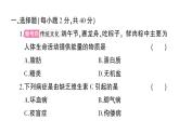 初中生物新北师大版七年级下册第6、7章 综合训练作业课件2025春