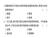 初中生物新北师大版七年级下册第6、7章 综合训练作业课件2025春