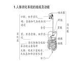 初中生物新北师大版七年级下册教材重点图片识记作业课件2025春