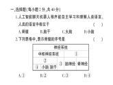 初中生物新北师大版七年级下册第10、11章 综合训练作业课件2025春