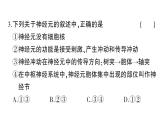 初中生物新北师大版七年级下册第10、11章 综合训练作业课件2025春