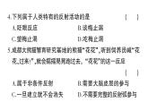 初中生物新北师大版七年级下册第10、11章 综合训练作业课件2025春