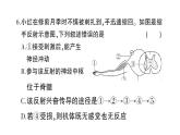 初中生物新北师大版七年级下册第10、11章 综合训练作业课件2025春
