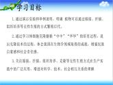 4.1.1 無性生殖保持了生物遺傳特征的穩(wěn)定 - 初中生物七年級下冊 同步教學課件（濟南版2024）