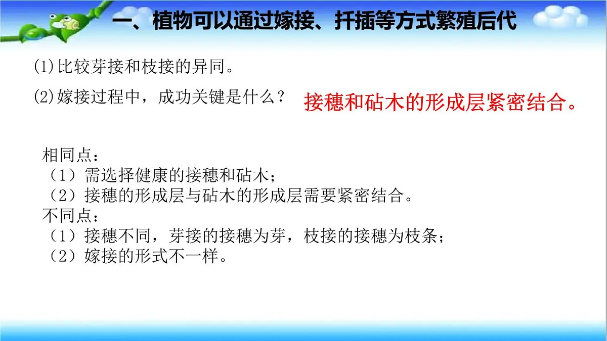 4.1.1 无性生殖保持了生物遗传特征的稳定 - 初中生物七年级下册 同步教学课件（济南版2024）第8页