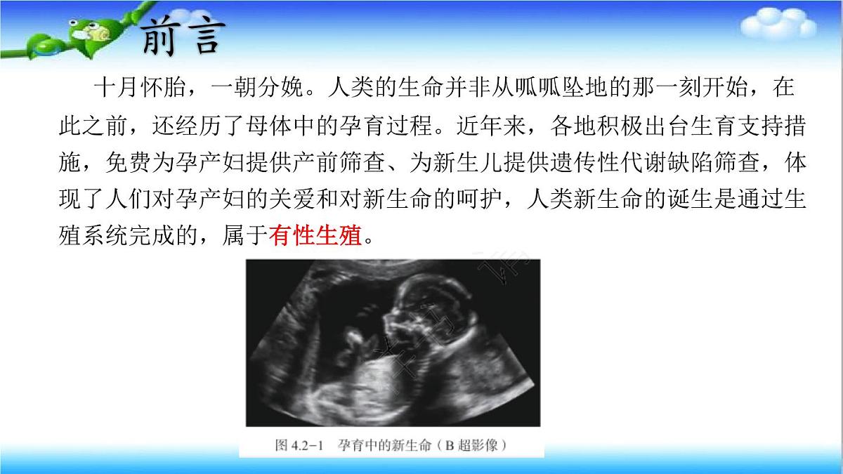 4.2.1 婴儿从受精卵发育而来 - 初中生物七年级下册 同步教学课件（济南版2024）第2页