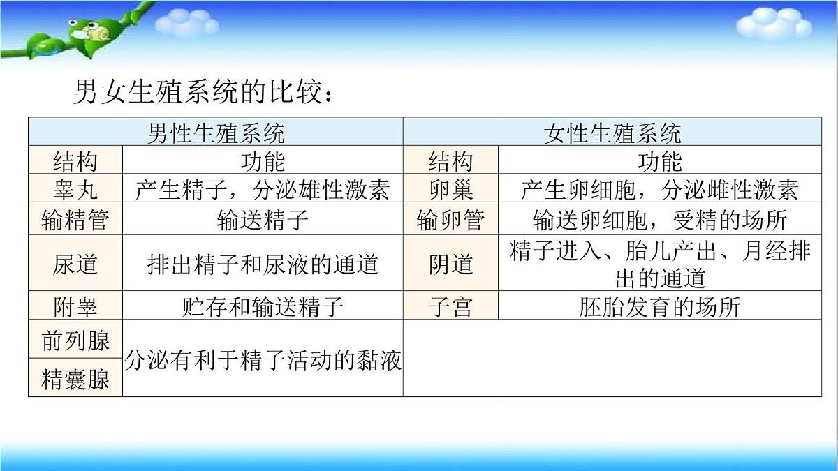 4.2.1 婴儿从受精卵发育而来 - 初中生物七年级下册 同步教学课件（济南版2024）第8页