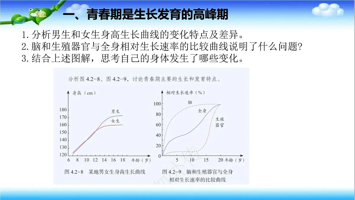 4.2.2 人在青春期出现显著变化 - 初中生物七年级下册 同步教学课件（济南版2024）第4页