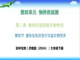 4.3.4 遺傳信息改變可引起生物變異 - 初中生物七年級下冊 同步教學(xué)課件（濟(jì)南版2024）