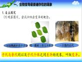 4.3.4 遺傳信息改變可引起生物變異 - 初中生物七年級下冊 同步教學(xué)課件（濟(jì)南版2024）