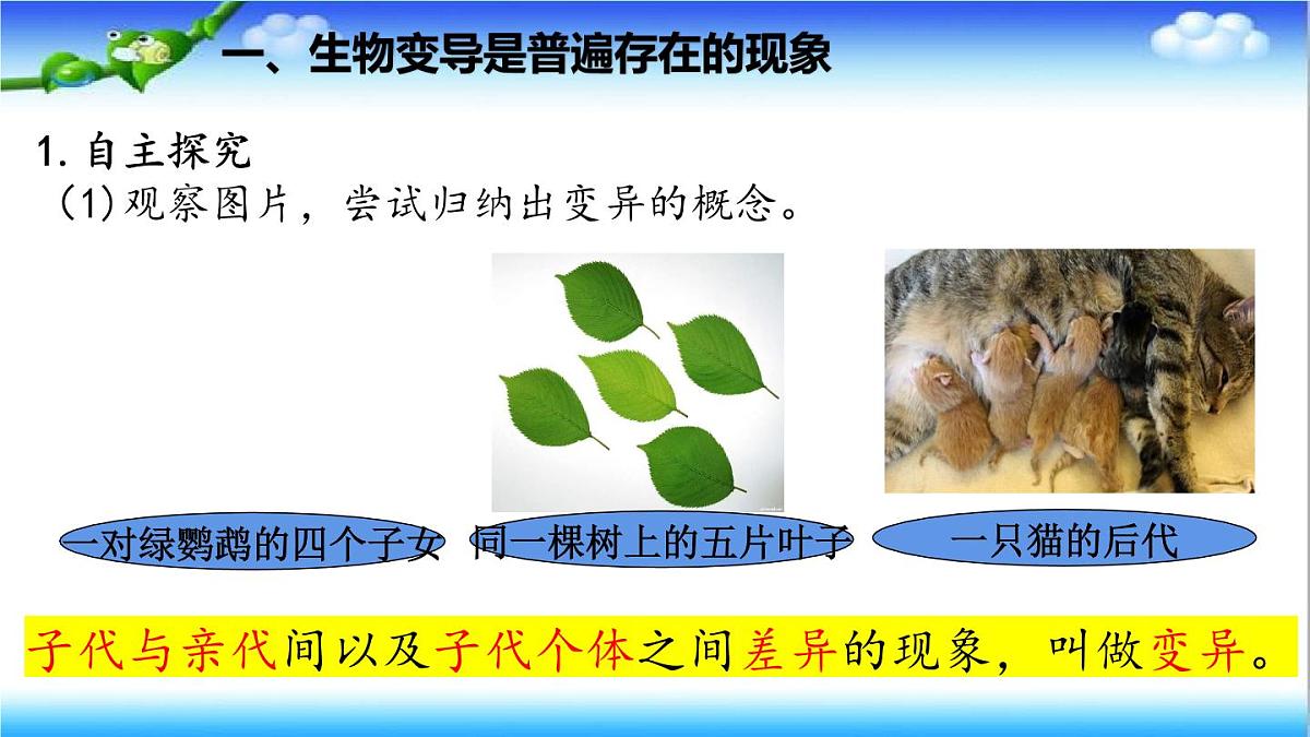 4.3.4 遗传信息改变可引起生物变异 - 初中生物七年级下册 同步教学课件（济南版2024）第4页