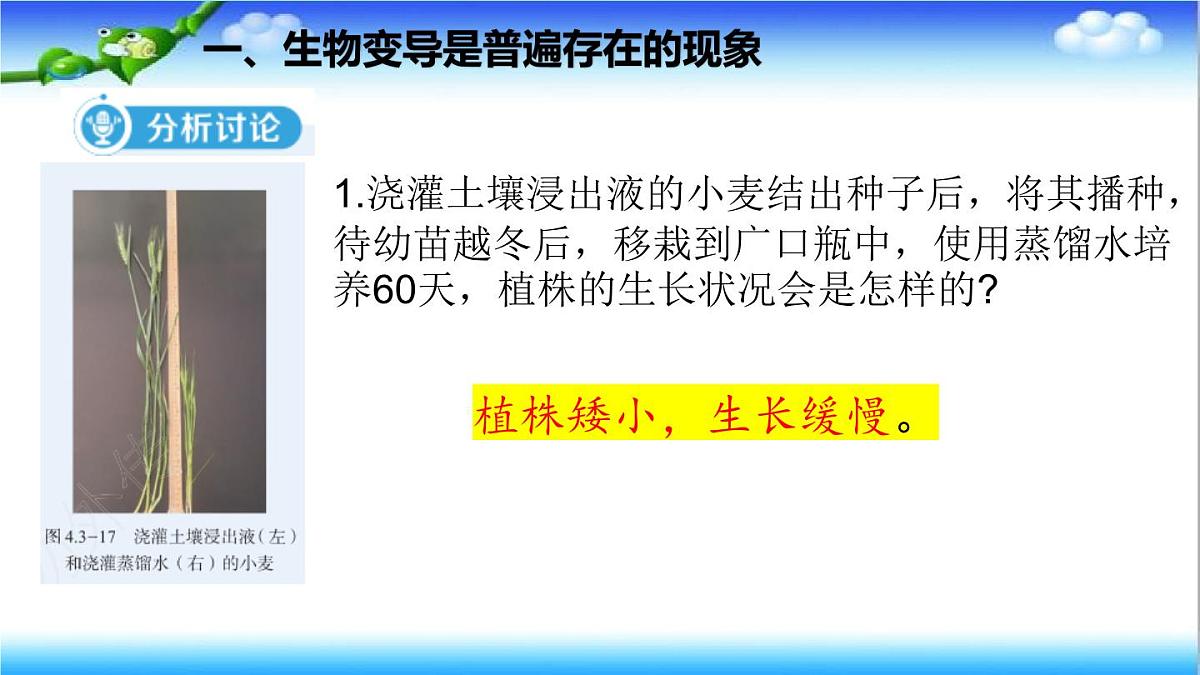 4.3.4 遗传信息改变可引起生物变异 - 初中生物七年级下册 同步教学课件（济南版2024）第5页