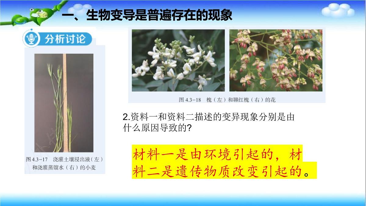 4.3.4 遗传信息改变可引起生物变异 - 初中生物七年级下册 同步教学课件（济南版2024）第6页