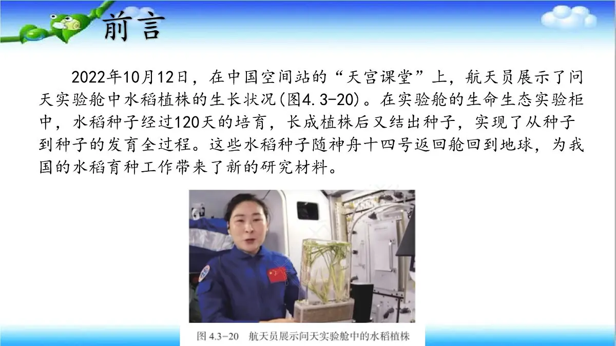4.3.5 生物育种技术促进农业发展 - 初中生物七年级下册 同步教学课件（济南版2024）第3页