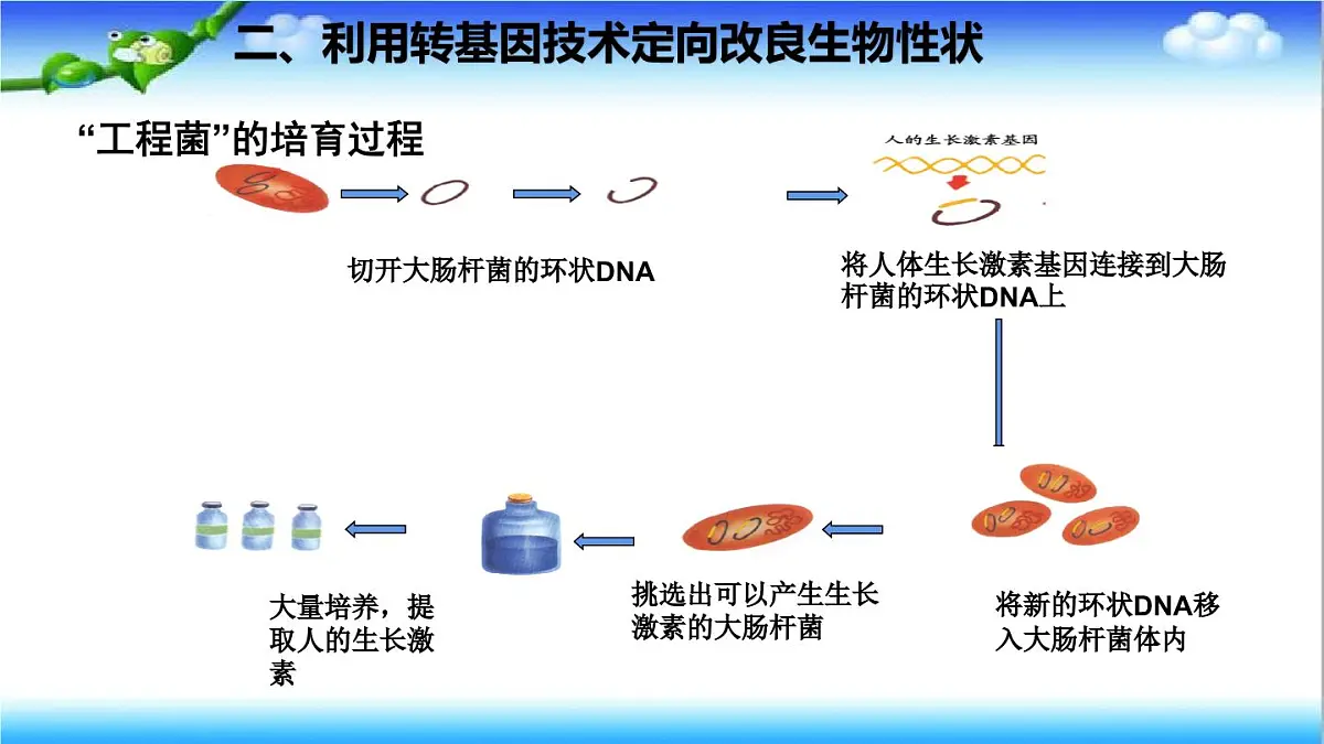 4.3.5 生物育种技术促进农业发展 - 初中生物七年级下册 同步教学课件（济南版2024）第6页