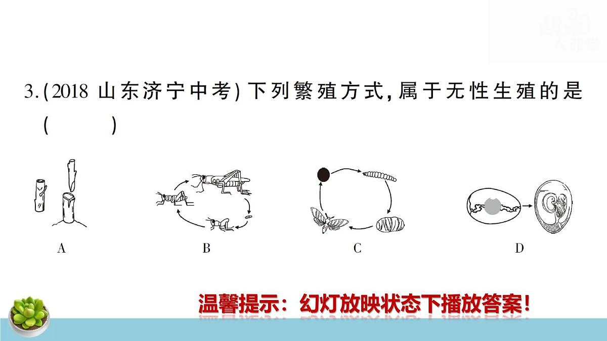 人教版八年级下册生物期末复习：全套单元测试卷含期中期末及答案课件第5页
